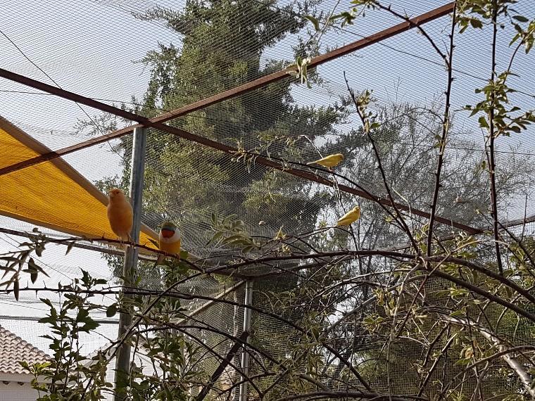 Affittacamere Complejo Rural Ibipozo Pozo Alcón Esterno foto