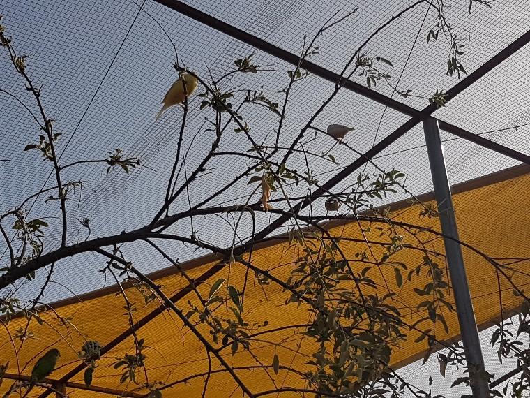 Affittacamere Complejo Rural Ibipozo Pozo Alcón Esterno foto